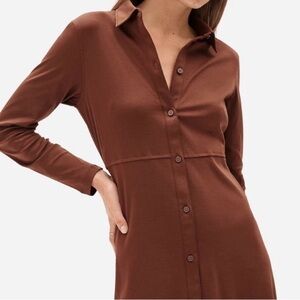 Everlane Button-Up Dress